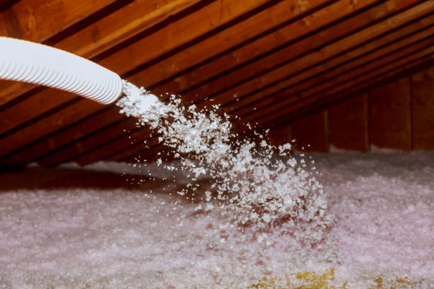 Best Residential Insulation in Adams, WI